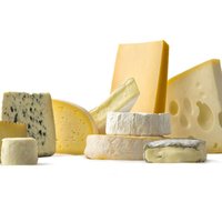 Ysteutstyr, osteproduksjons utstyr for harde og mye koster,  yoghurt, mozzarella, panacotta og ricotta.  Produkter du kan lage i ditt minimeieri.