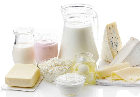 Meieriprodukter - Osteproduksjon - yoghurt
