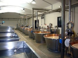 Osteproduksjon, ystekar, Parmesan i regionen Parma, Nord Italia. Ostetradisjon i nabolaget til fabrikken.